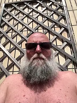 Noitelivre: διαδικτυακό σόου στην κάμερα