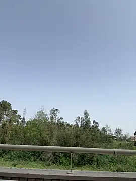 Webkamerová show Noitelivre