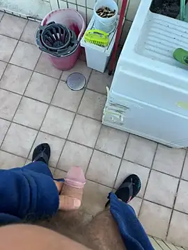Pertunjukan Kamera Web Noitelivre