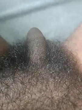 عرض كام malluflash