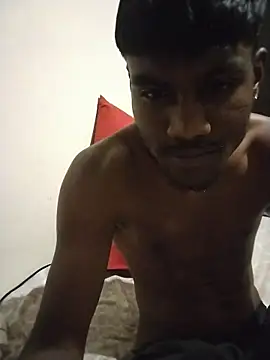 JoesPickle Show Webcam