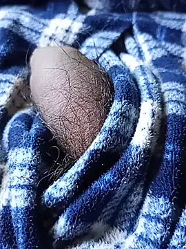 rodovlaz's Webcam Show