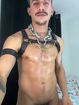 Show Webcam de lazzon_bastion