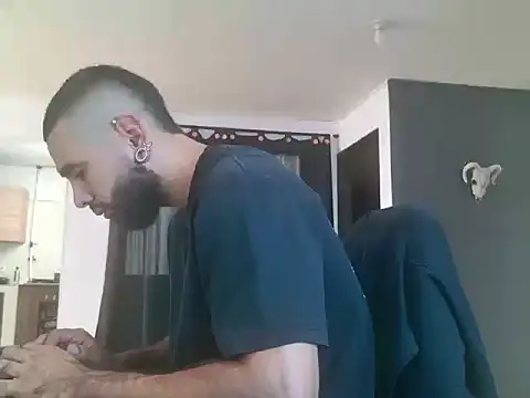 Show webcam de Matheusbeard