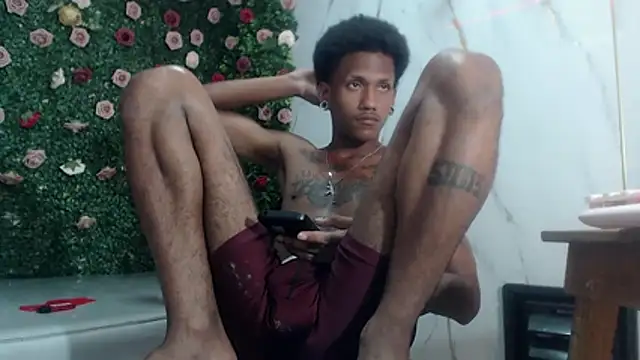 Show Webcam de ManSant