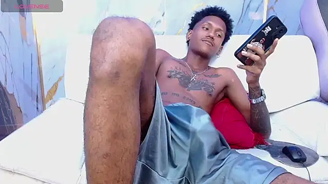 Show webcam de ManSant