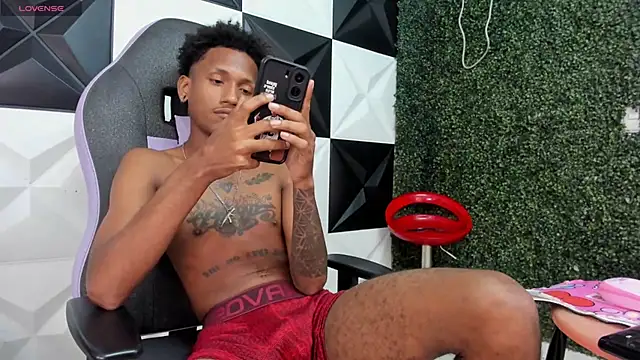 Show de webcam de ManSant