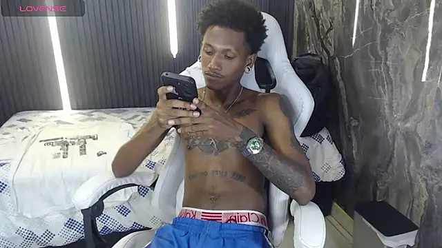 Show webcam de ManSant