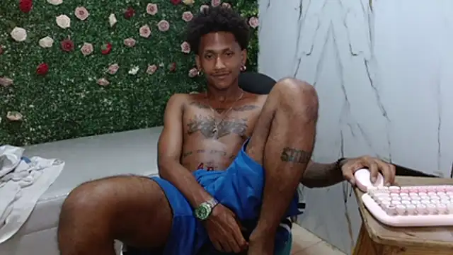 Show webcam de ManSant