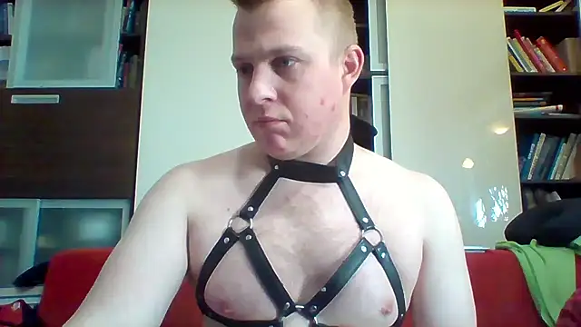 Matttthees Pertunjukan Webcam