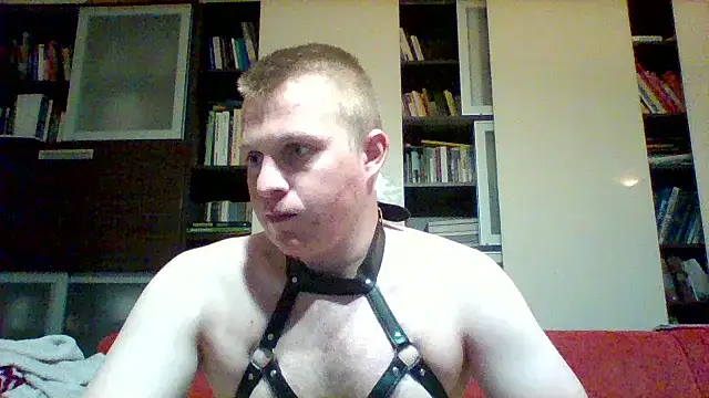 Matttthees Show Webcam