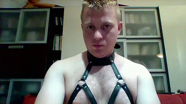 Matttthees Show in webcam