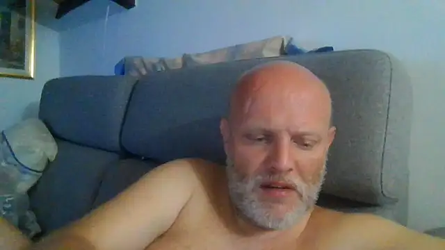 davigochi77bcnn Webbikameraesitys