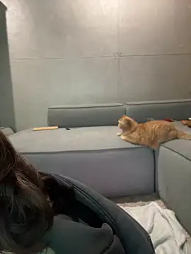 Bastet's Live Chat Room