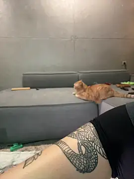 Bastet's Live Chat Room