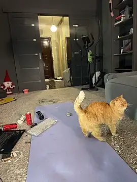 Bastet Adlı Modelin Web Kamerası Şovu