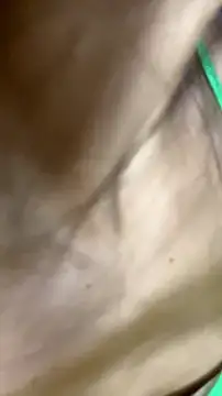 SexyAninha18 웹캠 쇼