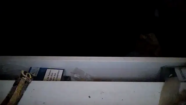 Webkamerová show analboypussy