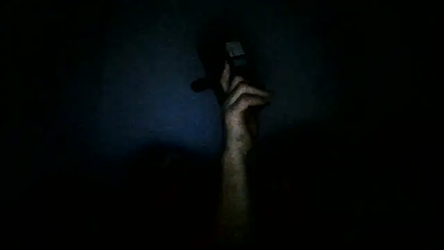 Kaappi1967 Show Webcam