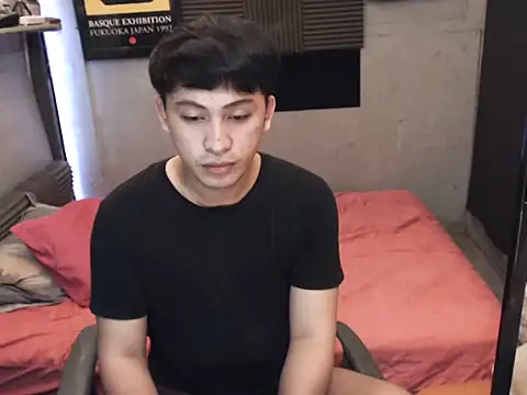 Show webcam de princeJayX
