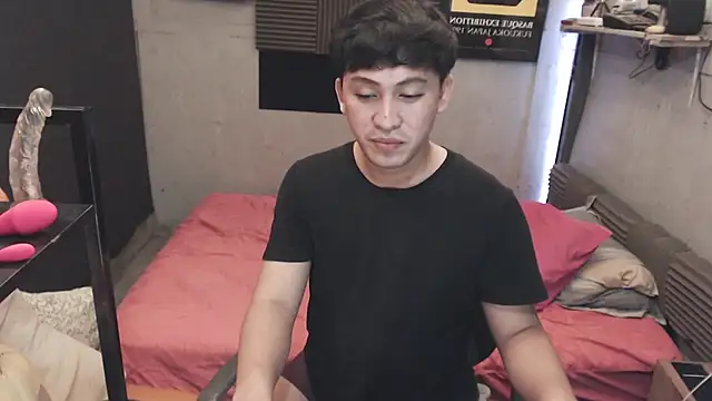 princeJayX 网络视讯表演