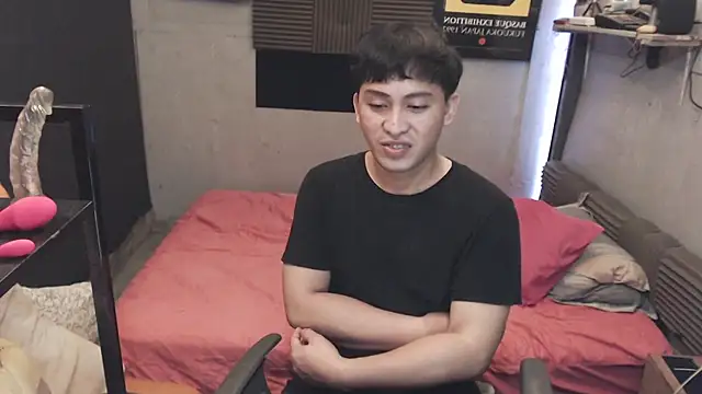 princeJayX – webcam-show
