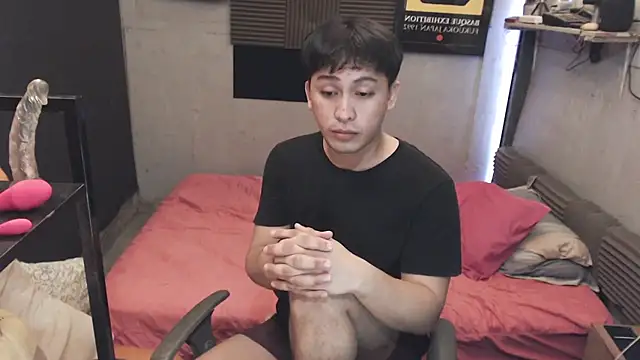 Show modela princeJayX na web-kameri