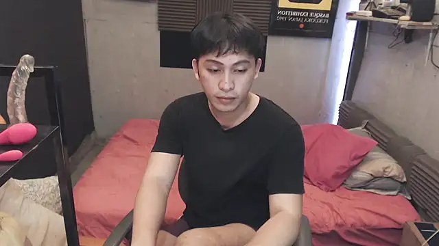 Show webcam de princeJayX