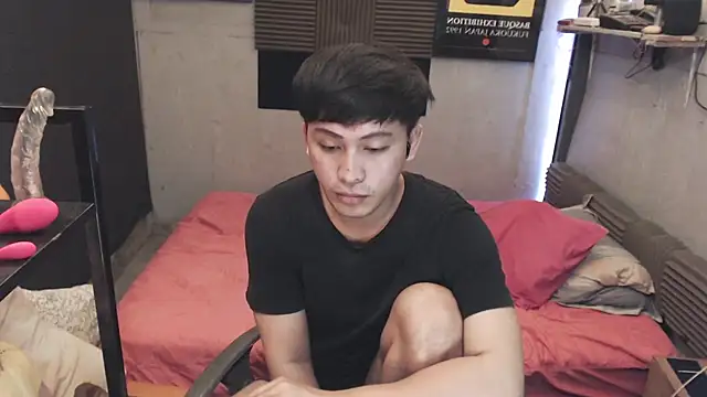 Show de princeJayX na webcam