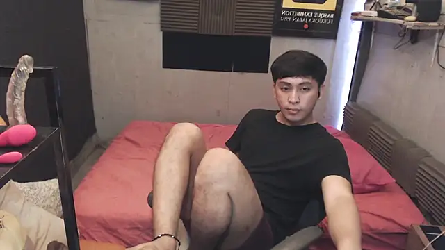 princeJayXn Webbikameraesitys