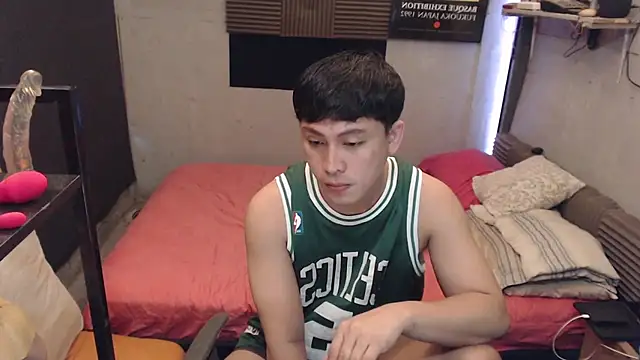 Show webcam de princeJayX
