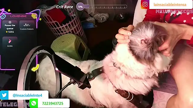 LaInsaciableIntensa Webcam-Show