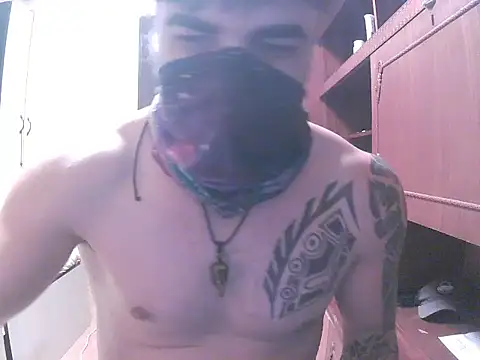 Show Webcam de projectdivad