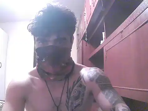 Show Webcam de projectdivad