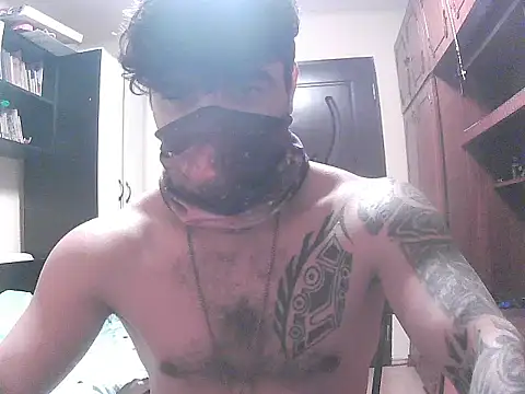 Show Webcam de projectdivad