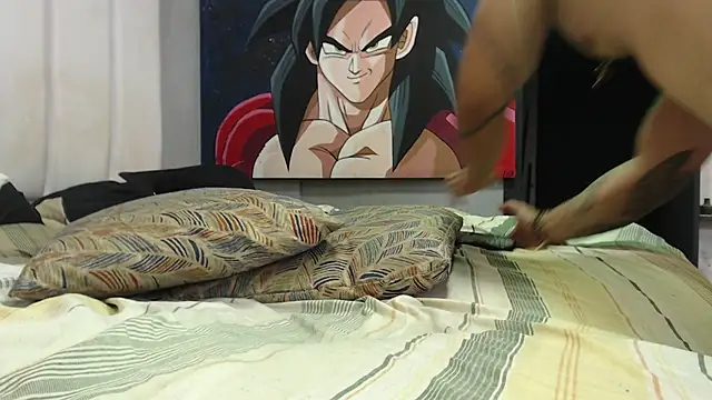 bardock_1 网络视讯表演