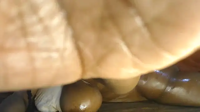 lolaslatary1's Webcam Show