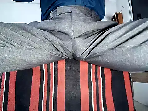 Show Webcam de manan28