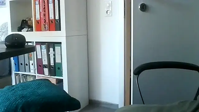 Show Webcam de ralf6644