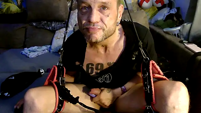 druckfug – webcam-show