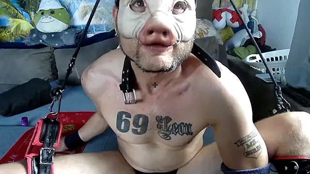 druckfug Webcam-Show