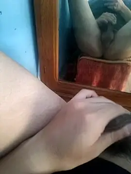 Show Webcam de luisf001