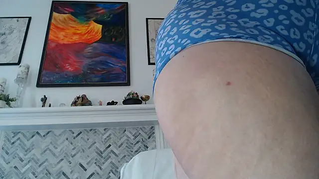 הופעת וובקאם של AuroraWillows