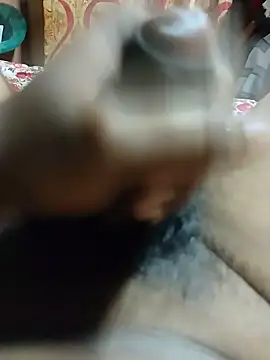 Show Webcam de Debdutroy440