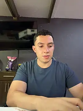 הופעת וובקאם של davinalhot