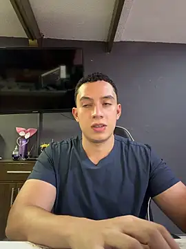 Show de webcam de davinalhot