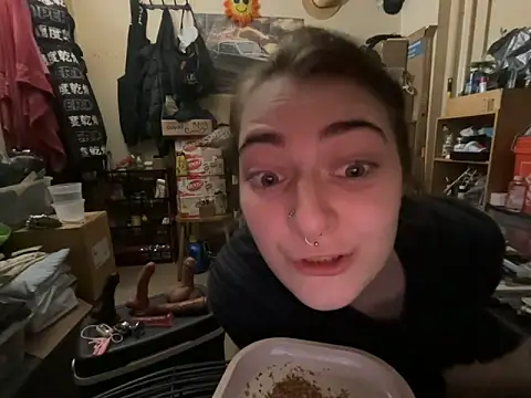 Snowbunnycake_131n Webbikameraesitys