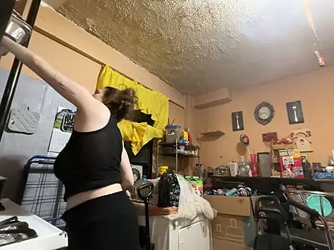 Snowbunnycake_131n Webbikameraesitys