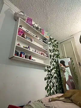 Živá chatovací místnost valenor_