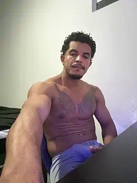 Show de Sanicrt na webcam